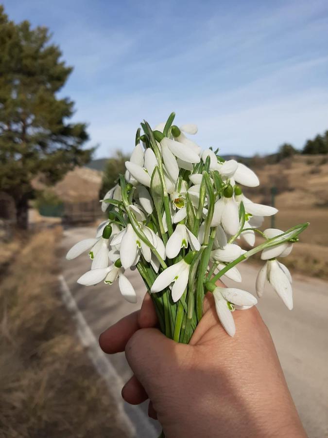 Apartamento La Montesa La Virgen de la Vega Bagian luar foto
